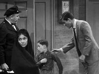 Click to watch 'Turtles, Ties, and Toreadors...' (popup) The Dick Van Dyke Show